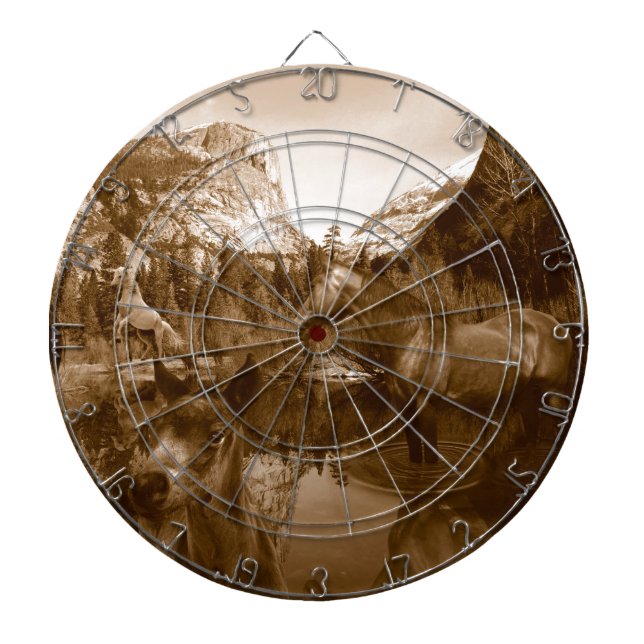 Tablero Dardos american (Frente)