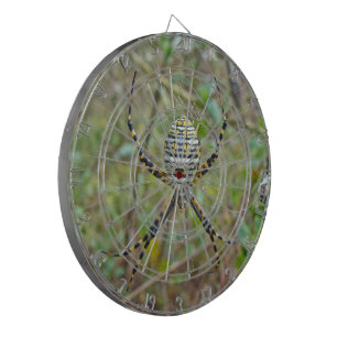 Tablero Dardos Argiope trifasciata Orb Weaver Spider