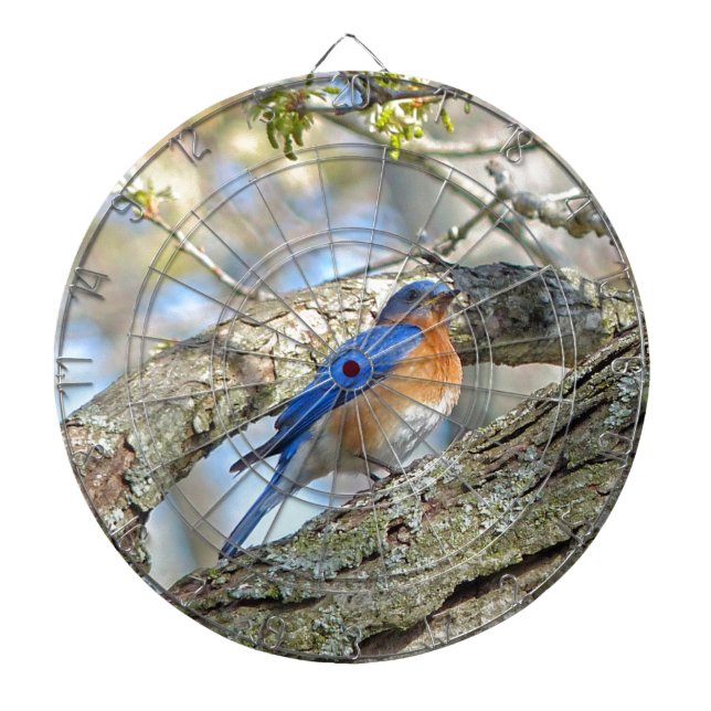 Tablero Dardos Bluebird (Frente)