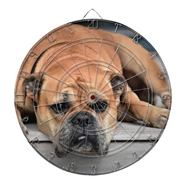 Tablero Dardos Bull Dog (Frente)