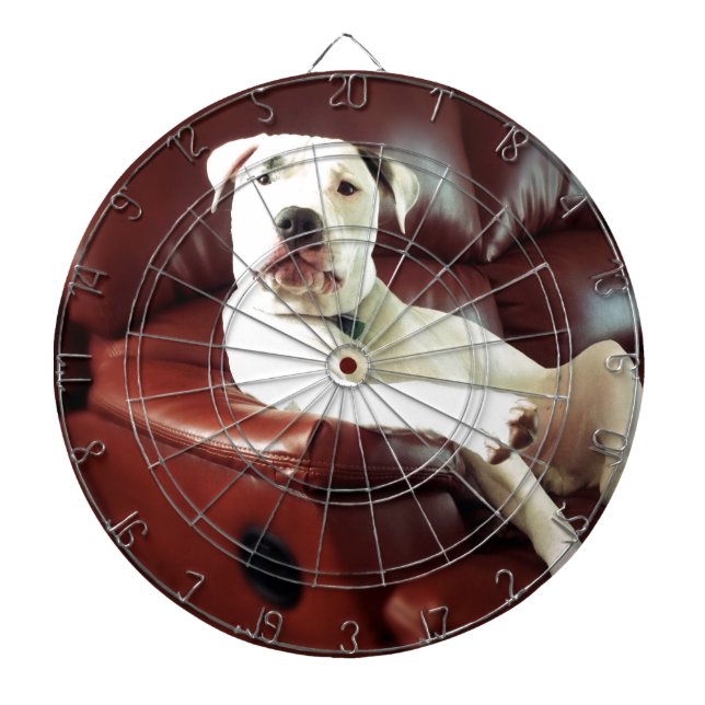 Tablero Dardos cachorro pit bull branco engraçado no sofá (Frente)