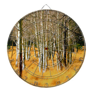Tablero Dardos conselho de dardos de aspen