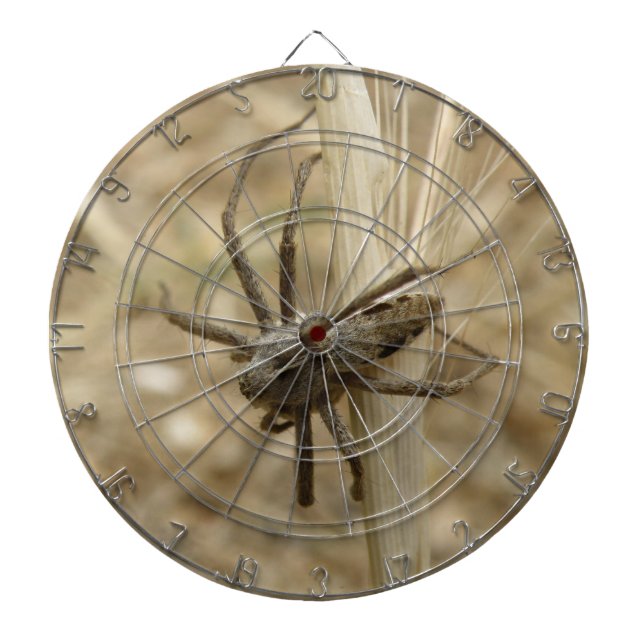 Tablero Dardos Creepy Crawly Spider Dart Board (Frente)
