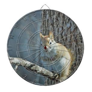 Tablero Dardos Dartboard dos aborrecedores do esquilo