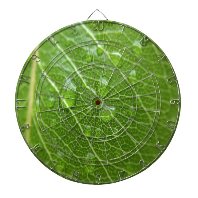 Tablero Dardos Folha Verde (Frente)