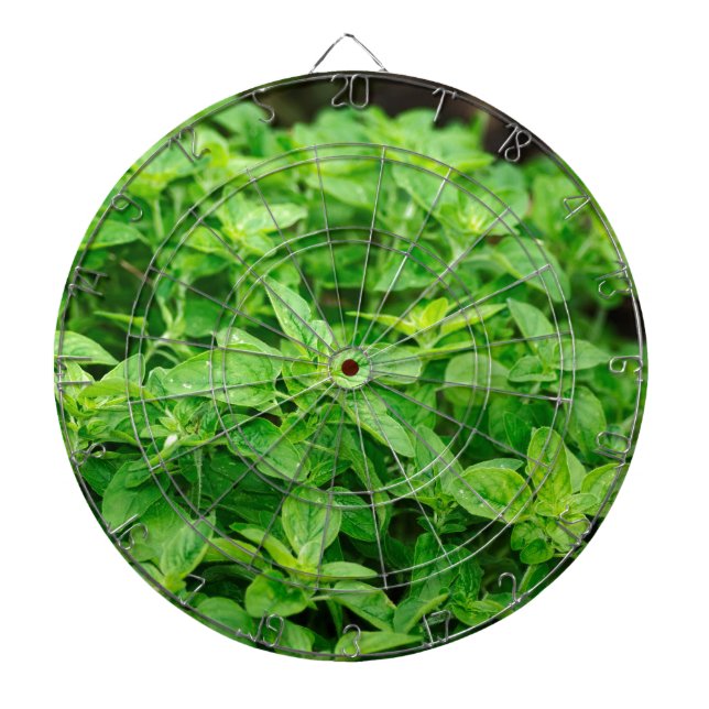 Tablero Dardos Folhas (Frente)