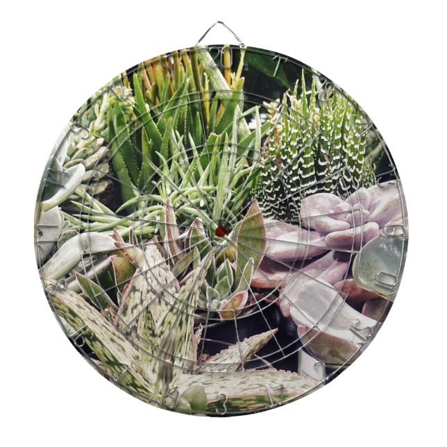Tablero Dardos Jardim Cactus (Frente)