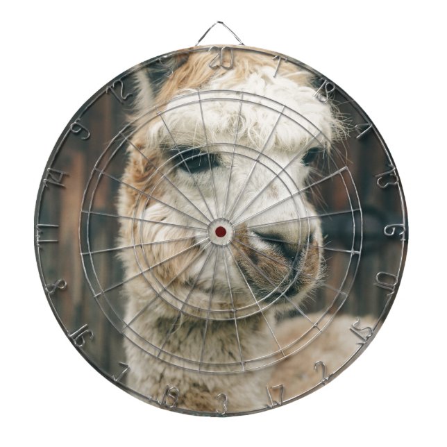Tablero Dardos Llama Close Up (Frente)