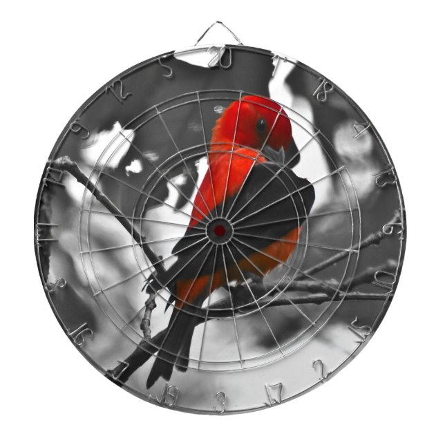 Tablero Dardos Male Scarlet Tanager (Frente)