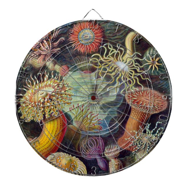Tablero Dardos Mar Anêmona Natureza Científica Oceânica (Frente)