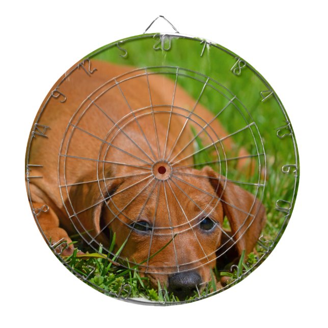 Tablero Dardos O conselho de dardo - personalizado (Frente)