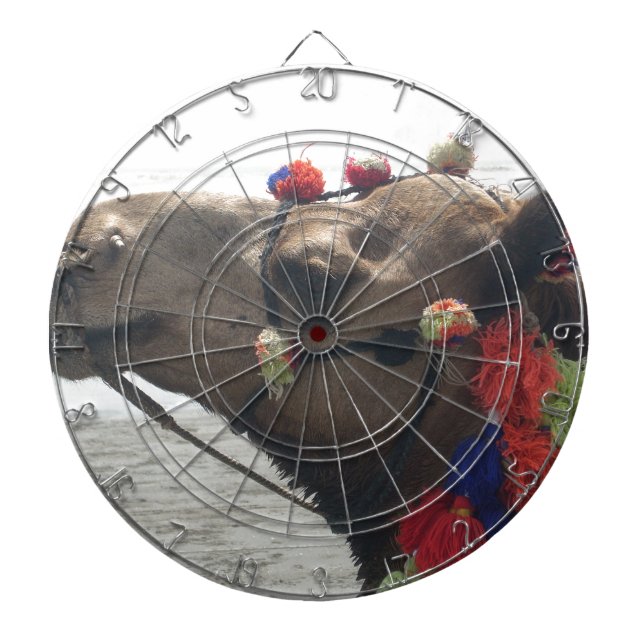 Tablero Dardos Oman Muscat Camel Photo Art Impressão (Frente)