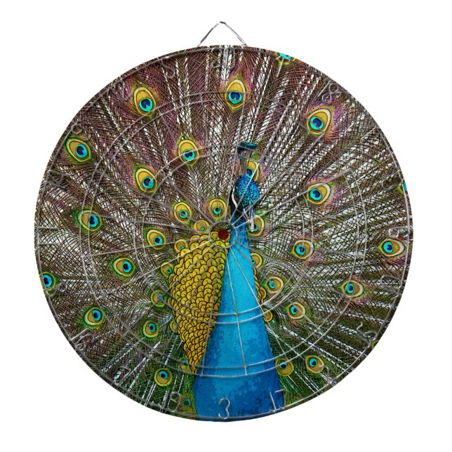 Tablero Dardos Pássaro Peacock com Plumagem Real em Exibição (Frente)