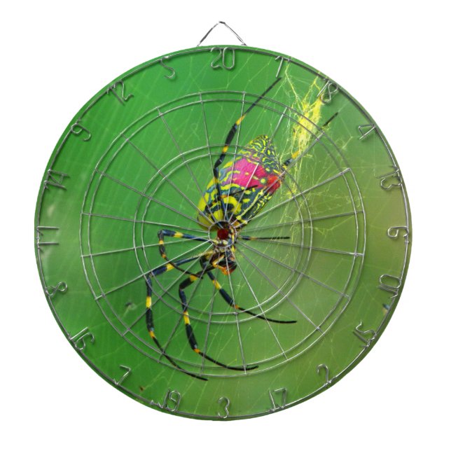 Tablero Dardos Placa Dart do Ouro Orb Weaver Spider (Frente)