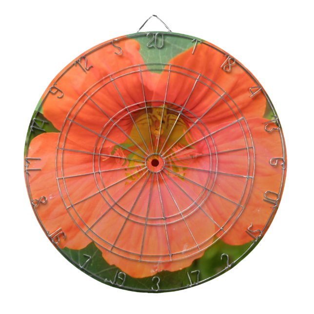 Tablero Dardos Placa Dart Flor Laranja Nasturtium (Frente)