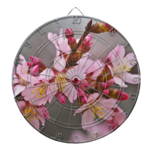 Tablero Dardos Rosa Contra Uma Cinza Céu Japonês Blossomas De Cer
