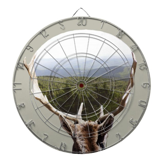 Tablero Dardos Seu Domínio (Frente)