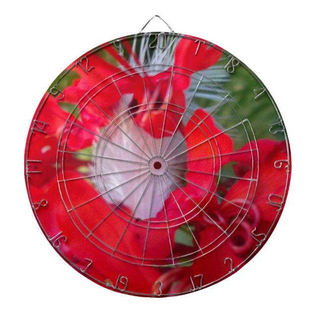 Tablero De Dardos Beleza Delicada: Flor Vermelho com Pena Branca (Frente)