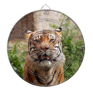 Tablero De Dardos Belo rosto de tigre impressão