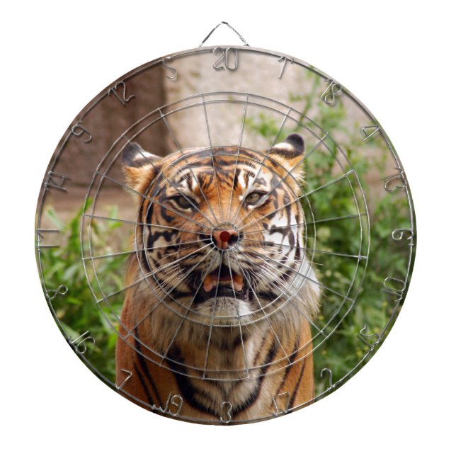 Tablero De Dardos Belo rosto de tigre impressão (Frente)