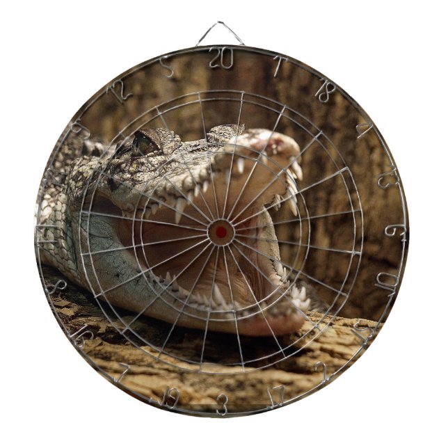 Tablero De Dardos Crocodilo Alligator Réptil Wildlife Dart Board (Frente)