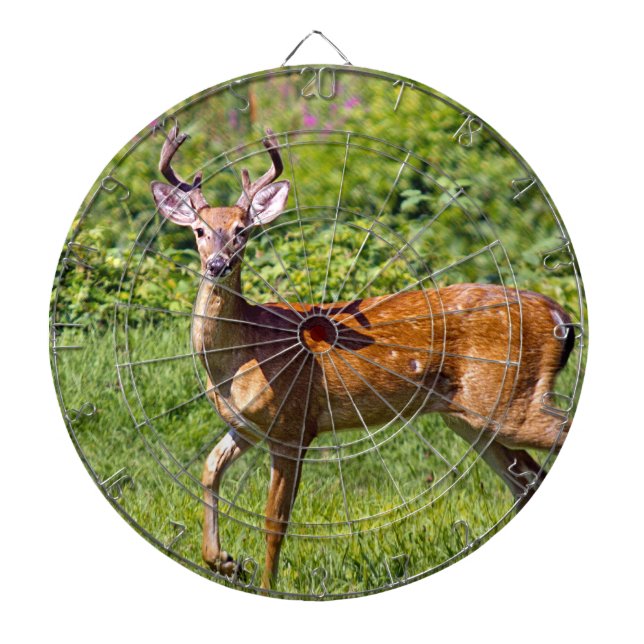 Tablero De Dardos Deer Hunter (Frente)