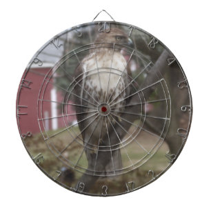 Tablero De Dardos Diretório Hawk Dart de Traje Vermelha