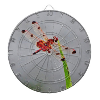 TABLERO DE DARDOS DSC00029.JPG