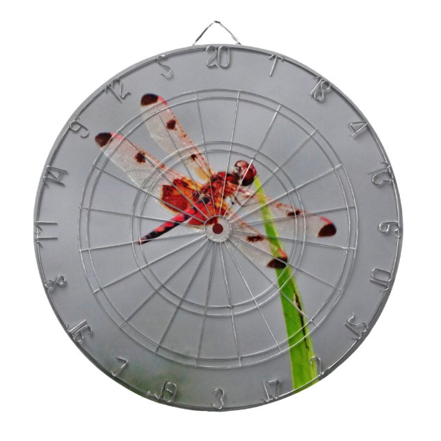 TABLERO DE DARDOS DSC00029.JPG (Frente)