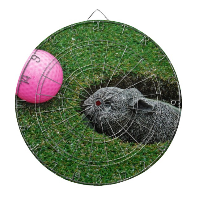 TABLERO DE DARDOS DSCF0652.JPG (Frente)