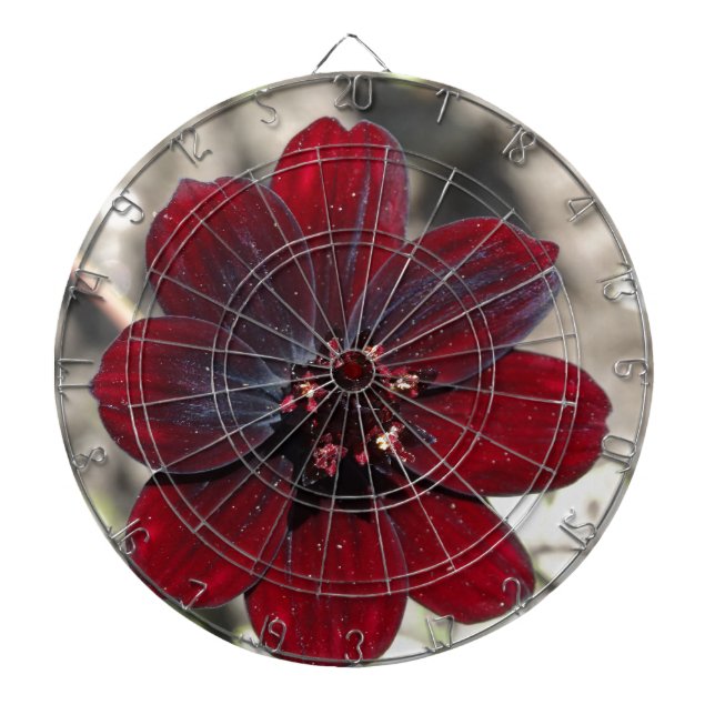 Tablero De Dardos Flor Cosmos Chocolate (Frente)