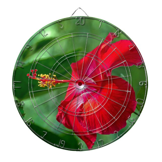 Tablero De Dardos Flor de Hibisco (Frente)
