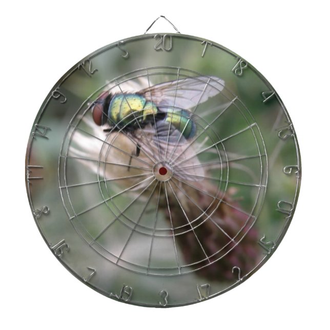 Tablero De Dardos Garrafa Verde Macro Dart Board (Frente)