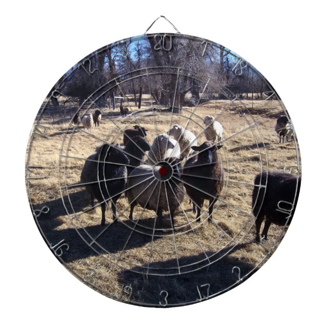 Tablero De Dardos Personalize o produto (Frente)