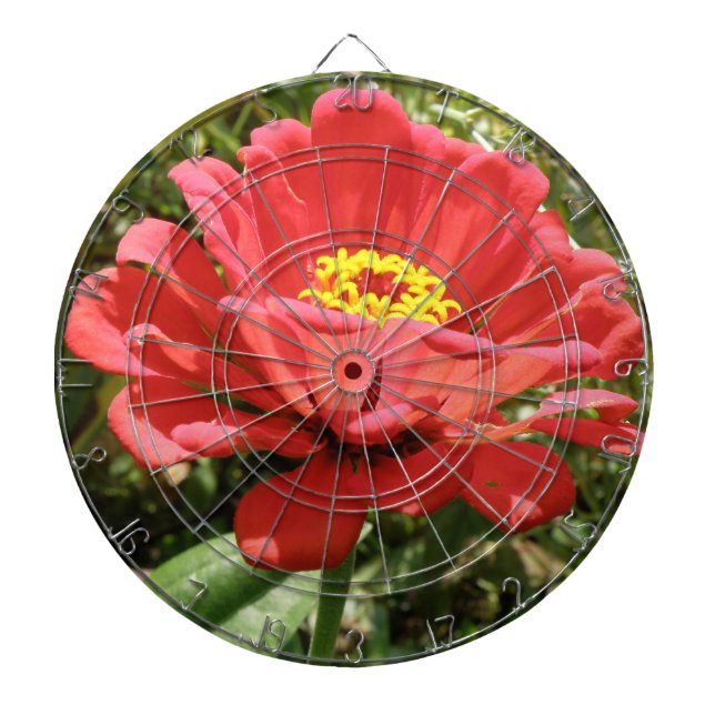 Tablero De Dardos Red Zinnia Dart Board (Frente)