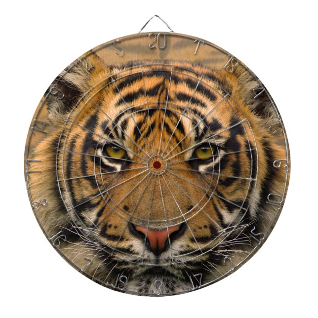Tablero De Dardos Tigre (Frente)