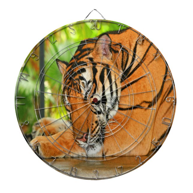 Tablero De Dardos Tigre de dormir (Frente)