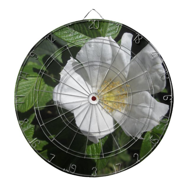 Tablero De Dardos White Beach Plum Rosa (Frente)