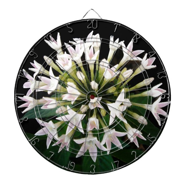 Tablero De Dardos White Pentas (Frente)