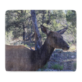 Tabua De Cortar Conselho de corte de alça