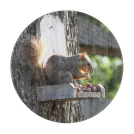 Tabua De Cortar Conselho de Corte de Esquilo