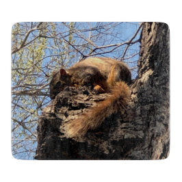 Tabua De Cortar Conselho de Corte de Esquilo