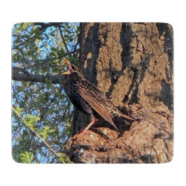 Tabua De Cortar Conselho de Corte de Pássaros