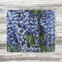 Conselho de Corte Floral de Wisteria Púrpura