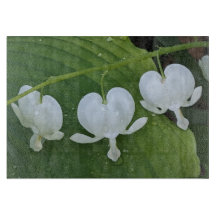 Coração Pulmonar Branco Floral