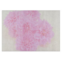 Dahlias Em Rosa Suave