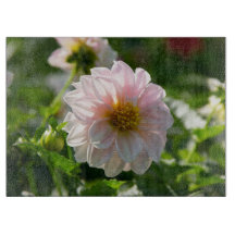 Dália branca na foto do jardim