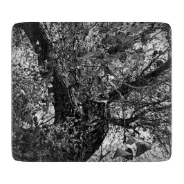 Tábua De Cortar Encontre-me nas árvores