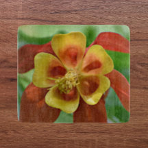 Floral de Columbina Vermelha e Amarela