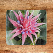 Floral de Sangue de Planta de Vaso Silver